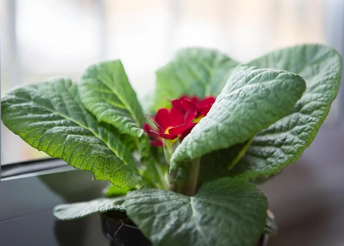 Artistic Frühstückspension 3*