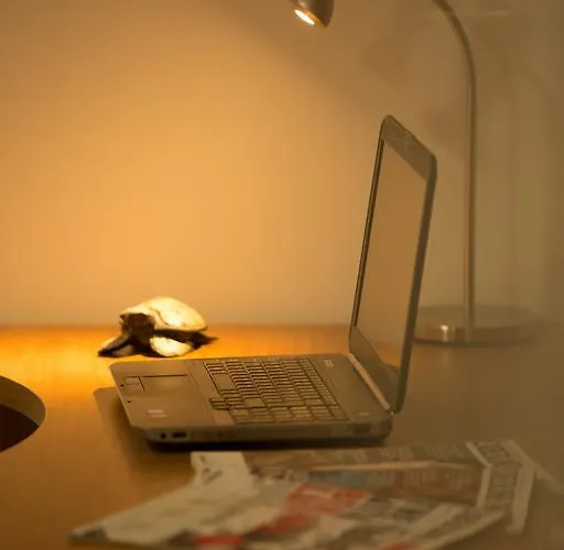 Artistic Frühstückspension 3*